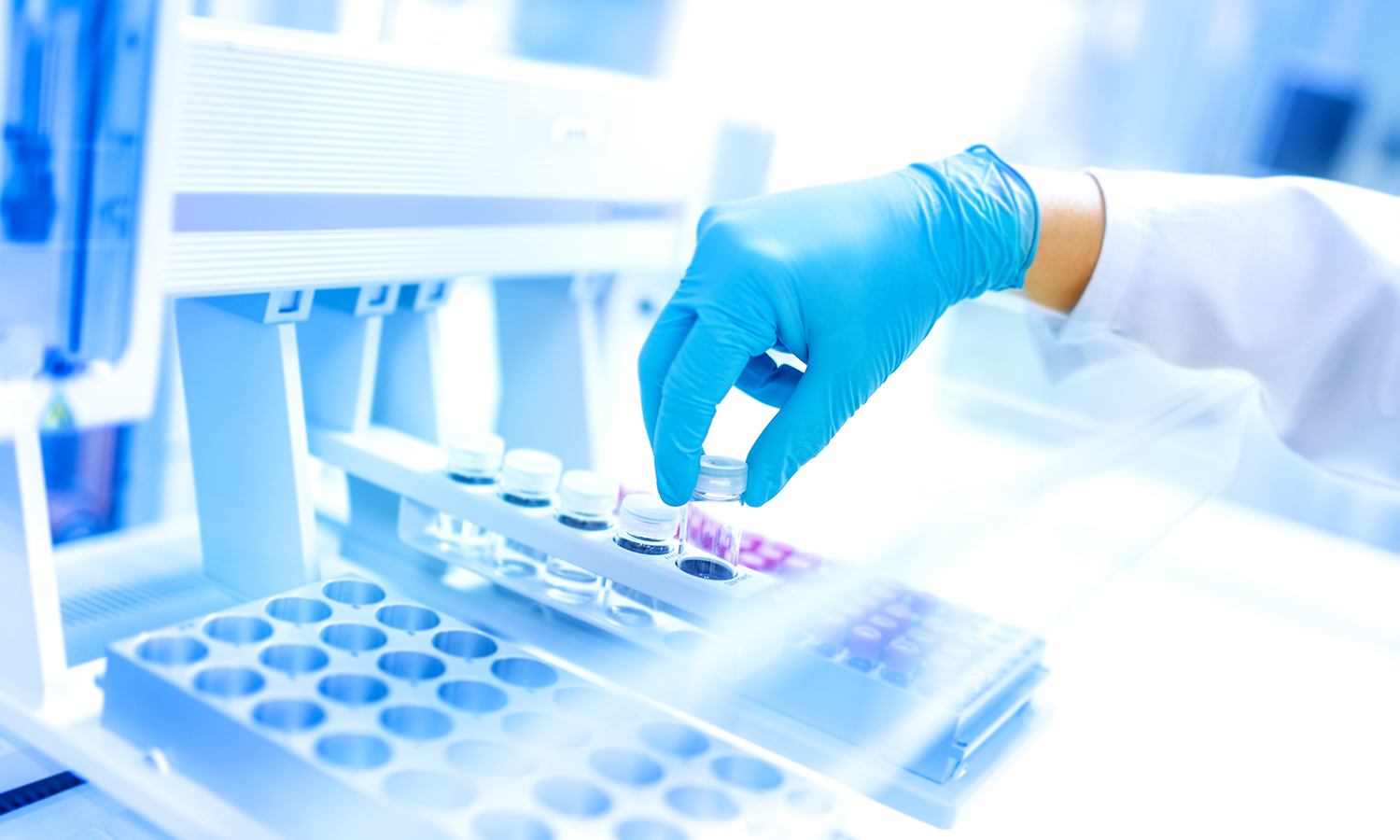 Determination of rosmarinic acid in PERILLAE CAULIS by HPLC