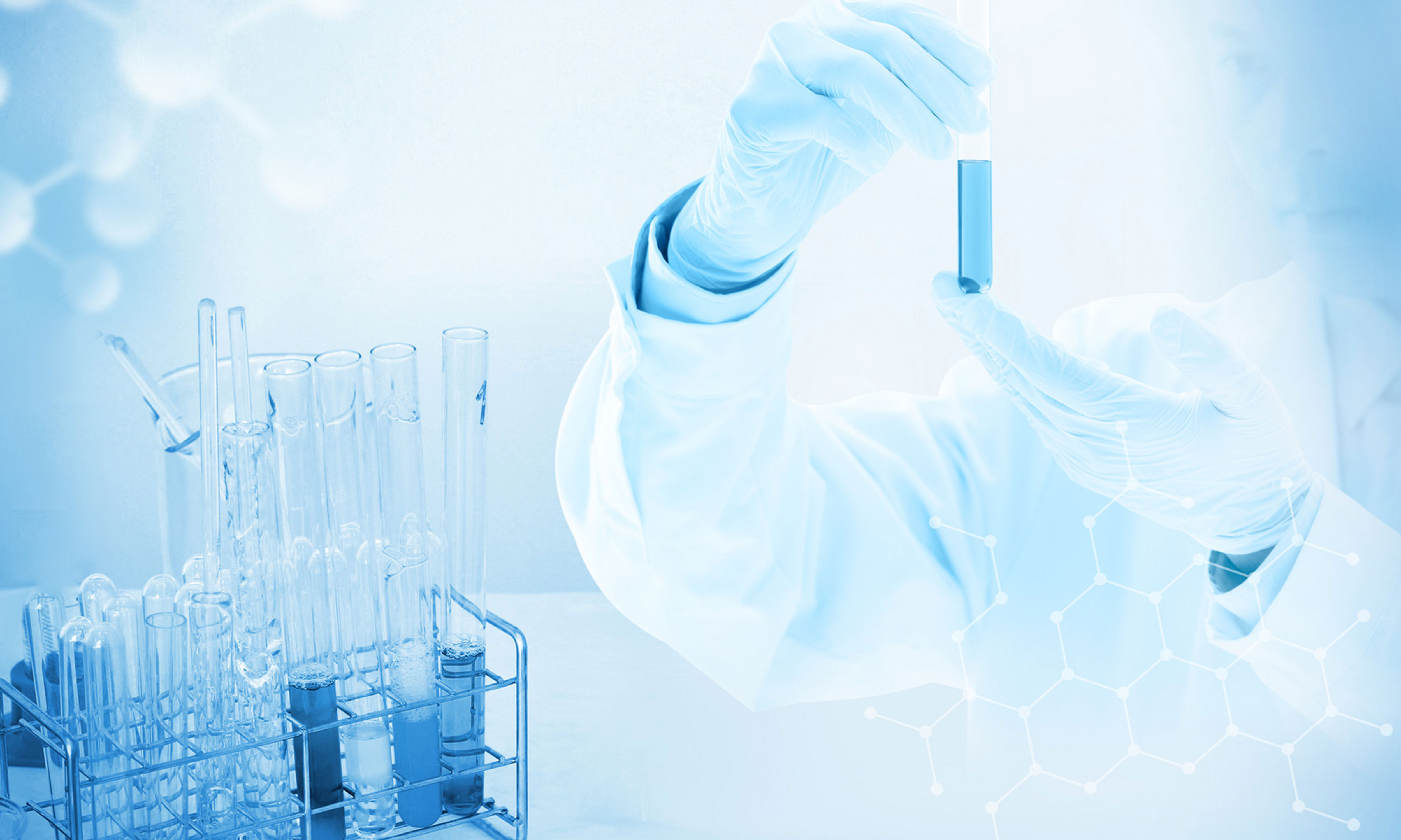 Determination of Nine pigments by HPLC